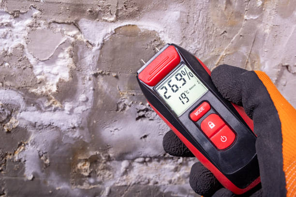 Mold Removal Process in Boronda, CA