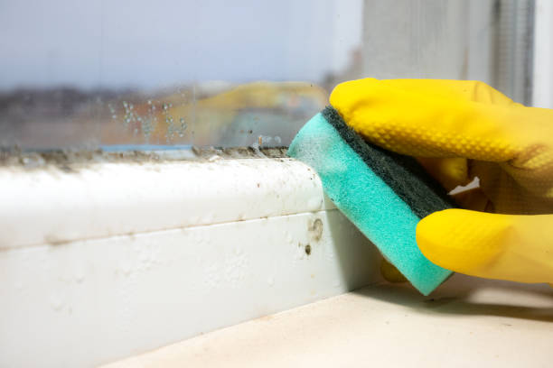Best Mold Testing  in Boronda, CA