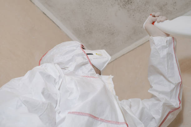 Best Mold Testing  in Boronda, CA
