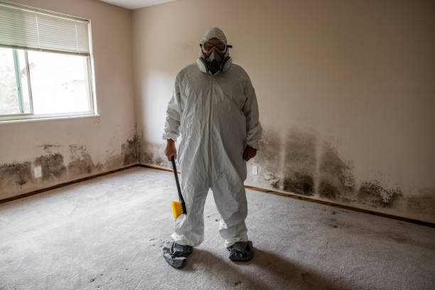 Best Mold Cleaning Services  in Boronda, CA